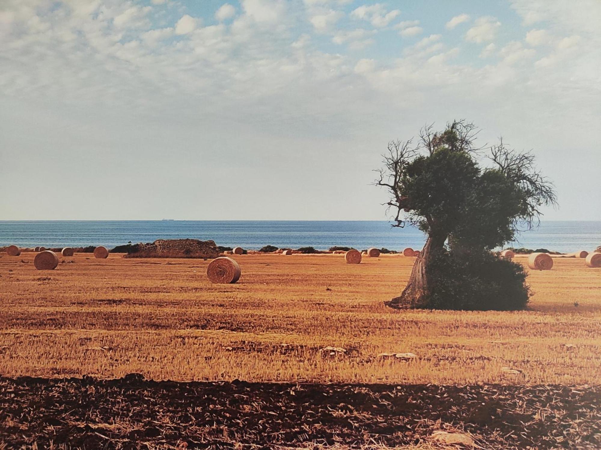 La Suite Di Eva Mola di Bari Extérieur photo